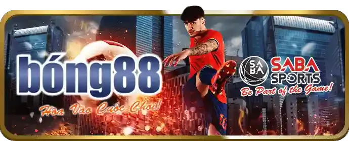 Cá cược bóng đá huvip